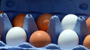 egg, eggs, hen's egg, egg box, packaging, close up, egg basket, egg carton, brown egg, raw egg, brown eggs, food, egg packaging, lots of eggs, farm shop, organic eggs, agriculture, natural product, nourishment, egg shells, meal, market, farmers local market, egg, egg, egg, egg, egg, eggs, eggs, eggs, eggs